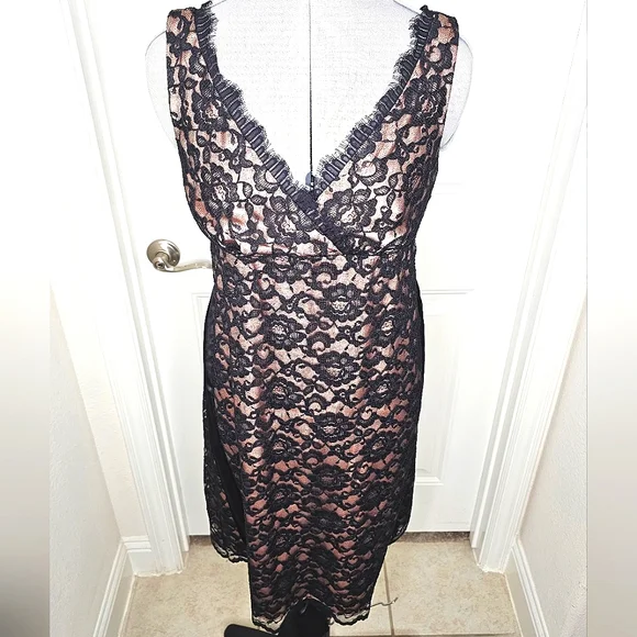 Classy Eliza J New York Black Lace & Nude Champagne Elegant Lady Cocktail Dress - Picture 11 of 15